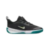 Nike Omni Court