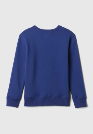 Gap Fleece Sweatshirt