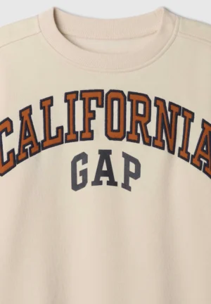 Gap Fleece Sweatshirt