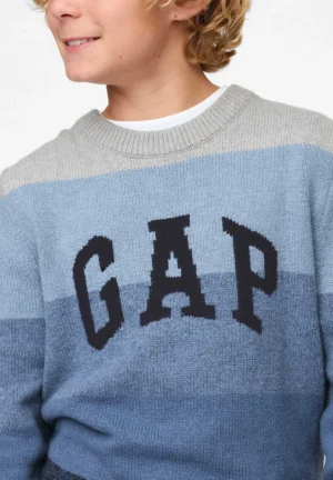 Gap Sweater
