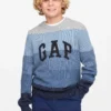Gap Sweater