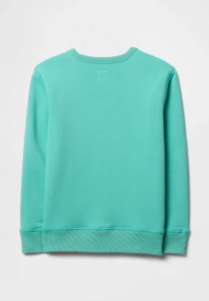 Gap Fleece Sweatshirt