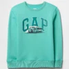 Gap Fleece Sweatshirt