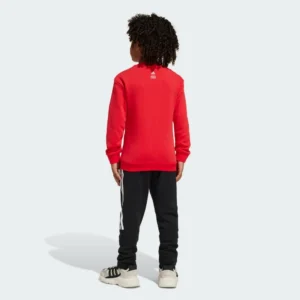 Adidas Marvel Spider-Man French Terry Set